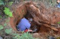 Bombeiros resgatam cavalo que caiu em fossa 
